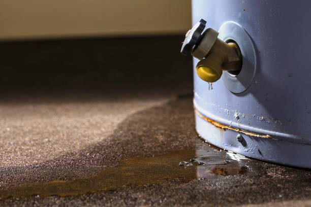 Best Water damage repair service  in Juno Beach, FL