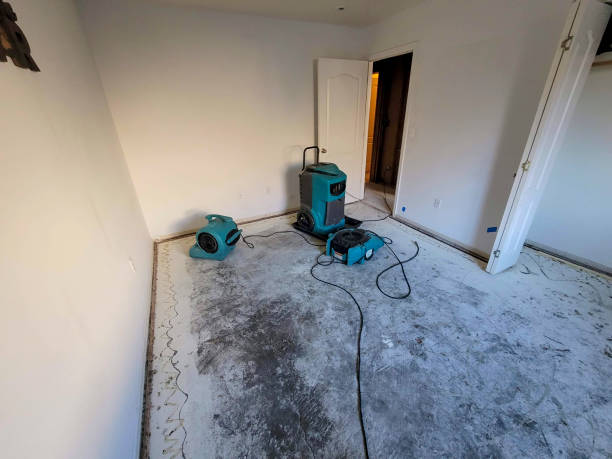 Best Ceiling water damage repair  in Juno Beach, FL