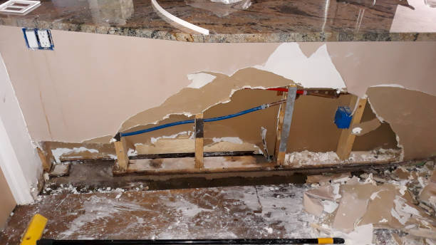 Best Flooded house restoration  in Juno Beach, FL