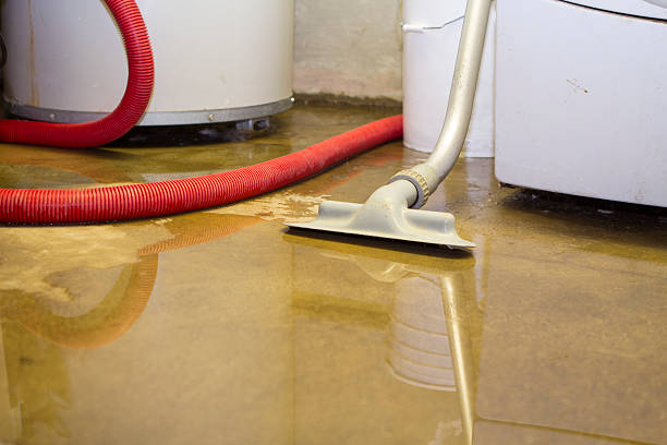 Best Basement water damage restoration  in Juno Beach, FL