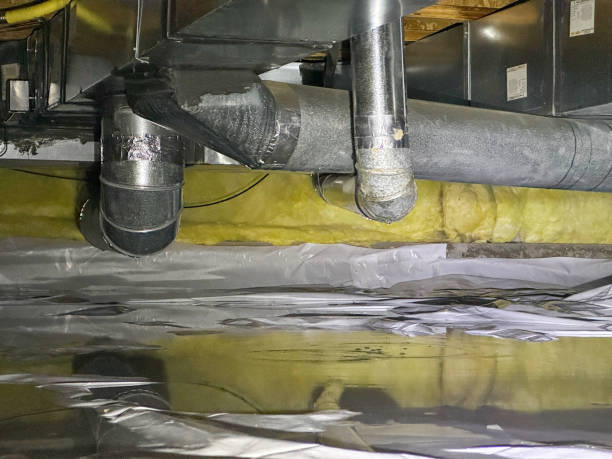 Best Flood restoration services  in Juno Beach, FL