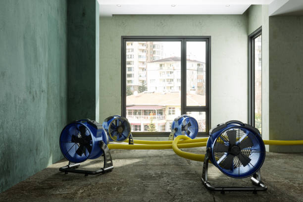 Best Local water damage restoration  in Juno Beach, FL
